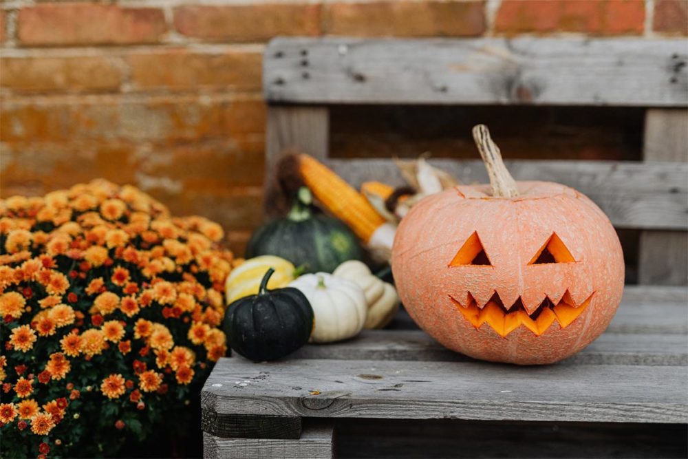 小田切でハロウィン